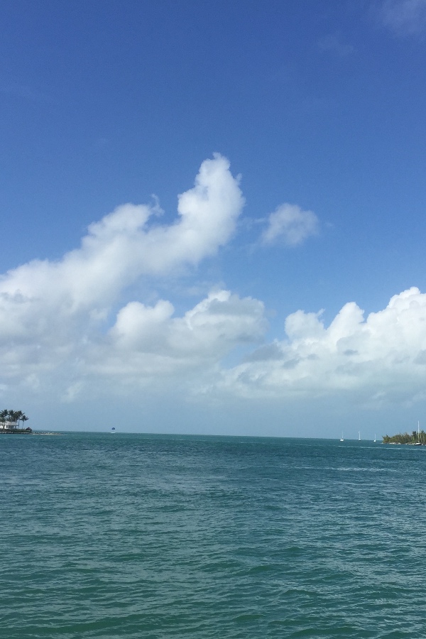 Cruise Brothers Travel Agent Jenry Martin